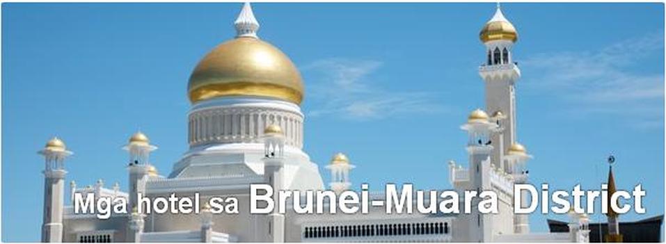 Mga Hotel sa Brunei